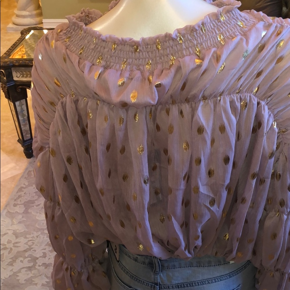Chiffon DustyPink Polka Dot Top W/ Lantern Sleeves - Picture 5 of 6